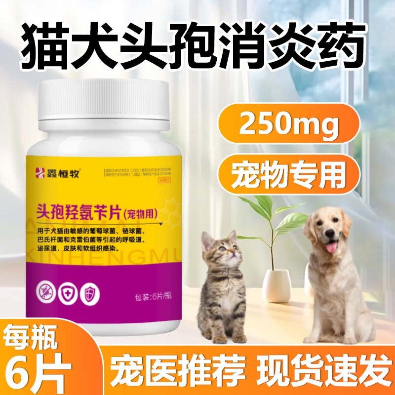 鑫恒牧宠物头孢羟氨苄片猫狗通用呼吸道感染皮肤脓皮症销炎非处方商品图