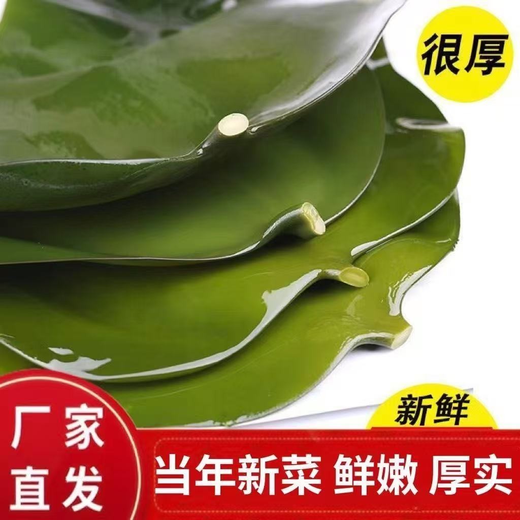【到手两斤】盐渍海带头 霞浦特产 火锅食材 水产有机鲜海带头1000g商品图