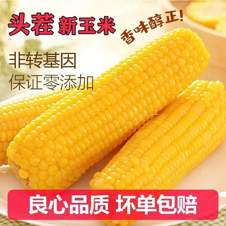 【整箱9斤-10斤】26年头茬东北真空黄糯玉米280克到手14棒试吃5棒商品图