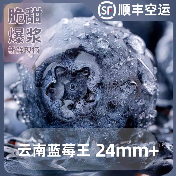 【24mm+蓝莓王】云南高山新鲜蓝莓脆甜酸甜花果香净重600g 顺丰空运商品图