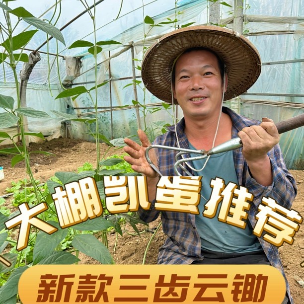 【大鹏凯蛋推荐】新款加厚松土神器翻地农用三齿耙子锄头除草挠地耙商品图