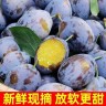 【坏果包赔】甘肃正宗高山西梅新鲜应季鲜果商品图