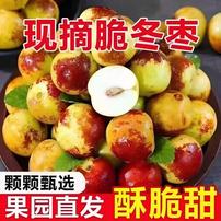 【冰糖冬枣】正宗冰糖冬枣新鲜脆甜孕妇应季水果产地直发坏果包赔商品图