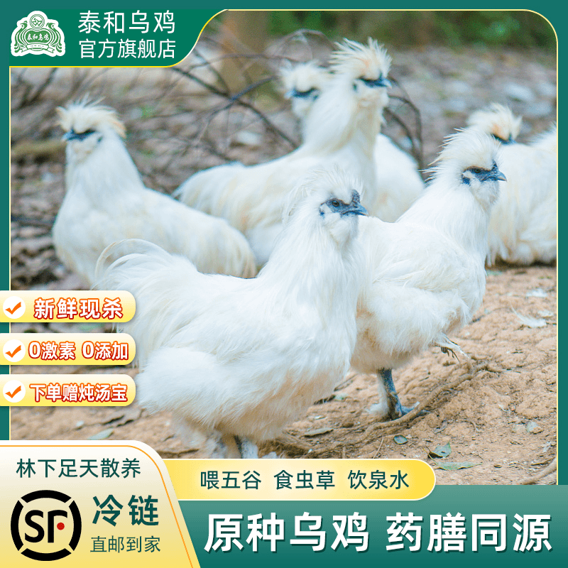 抖音泰和乌鸡产品运营 2023-05-23|泰和乌鸡产品运营正在直播|直播数据与分析报告 - 蝉妈妈数据