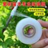 专业PE嫁接膜果树苗木专用膜缠绕膜自粘膜 打包透明拉伸包扎薄膜商品图