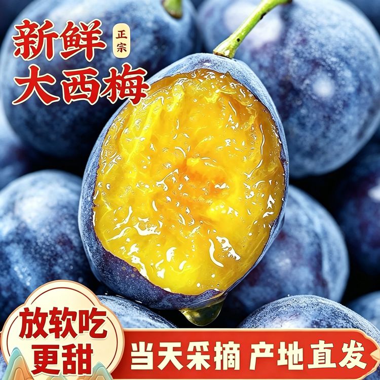 高山新鲜蓝蜜西梅甘肃天水应季鲜果现摘现发放软吃酸甜多汁商品图