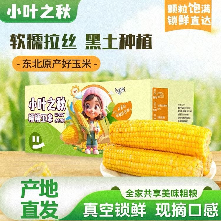 【吉林网严选】黄糯新玉米香甜软糯东北吉林黏苞米鲜食玉米早餐代餐商品图