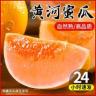 陕西黄河蜜瓜 新鲜头茬沙地黄金蜜瓜香脆甜肉水果阎良甜瓜哈密瓜商品图