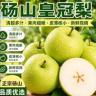 砀山青皮梨脆甜无渣新鲜水果甘甜爽口多汁蜜梨苏翠多仓发货商品图