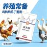鸡鸭鹅鸽子用可溶性粉 家禽通用鸟鸽子鹌鹑鹦鹉直接兑水喂 小袋装商品图
