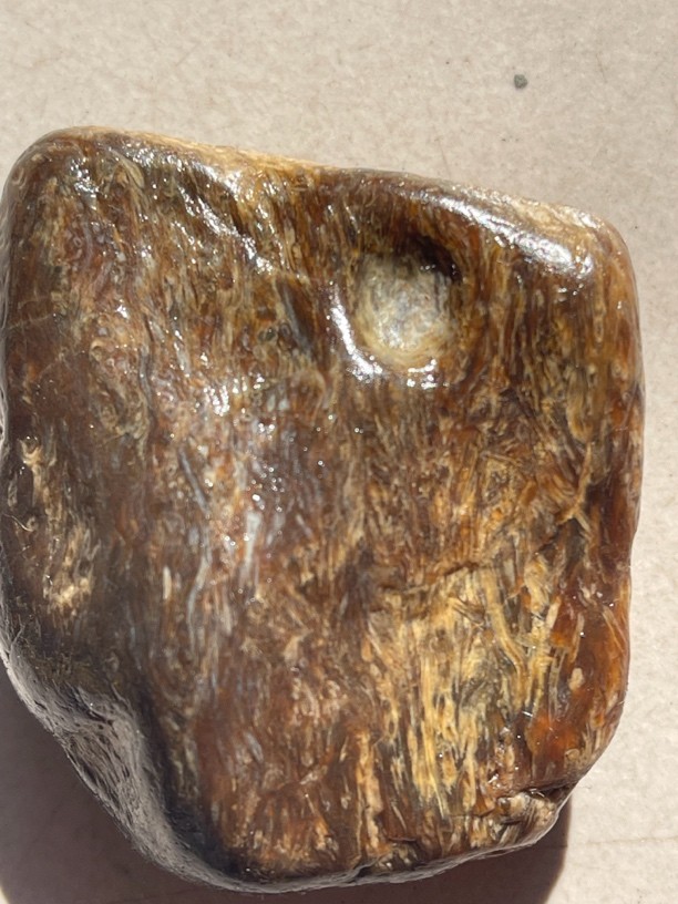 黑龙江树化观赏奇石商品图