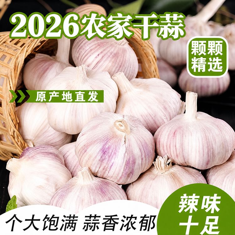 【2026干大蒜】河南开封杞县紫白皮大蒜头农家干蒜多瓣蒜产地直发商品图