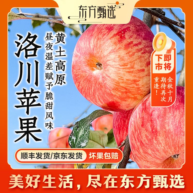 东方甄选自营洛川苹果脆甜多汁富士苹果新鲜水果苹果坏果包赔商品图
