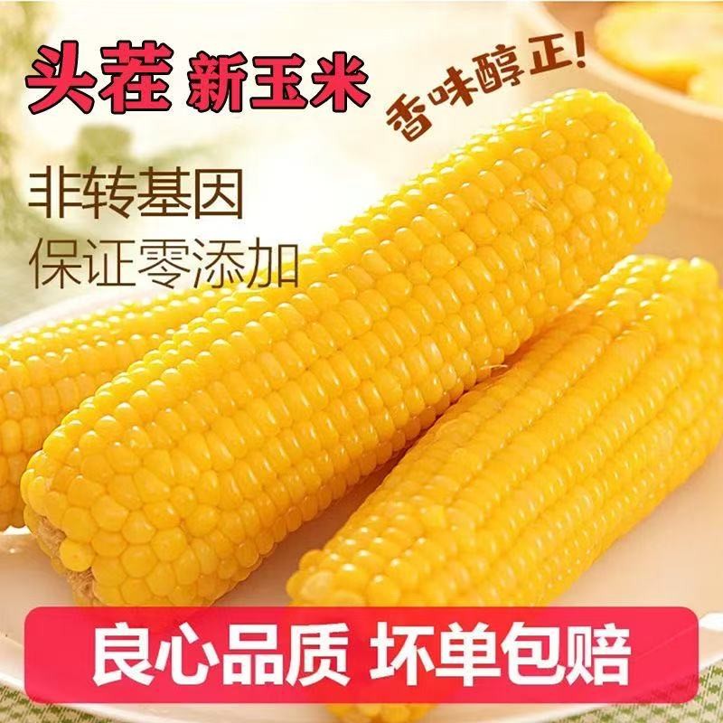 【整箱9-10斤】26年头茬东北真空黄糯玉米280-380克到手14棒试吃5棒商品图