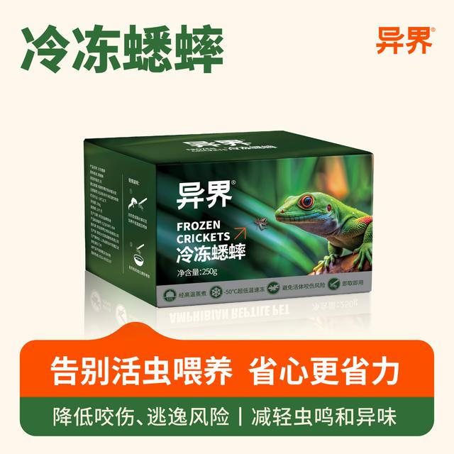 异界 冷冻油葫芦黑蟋蟀昆虫类守宫蜥蜴速冻昆虫蟋蟀商品图
