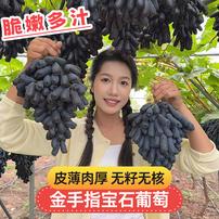 【顺丰京东】新鲜宝石葡萄水果金手指无籽黑提3斤整箱  LF商品图