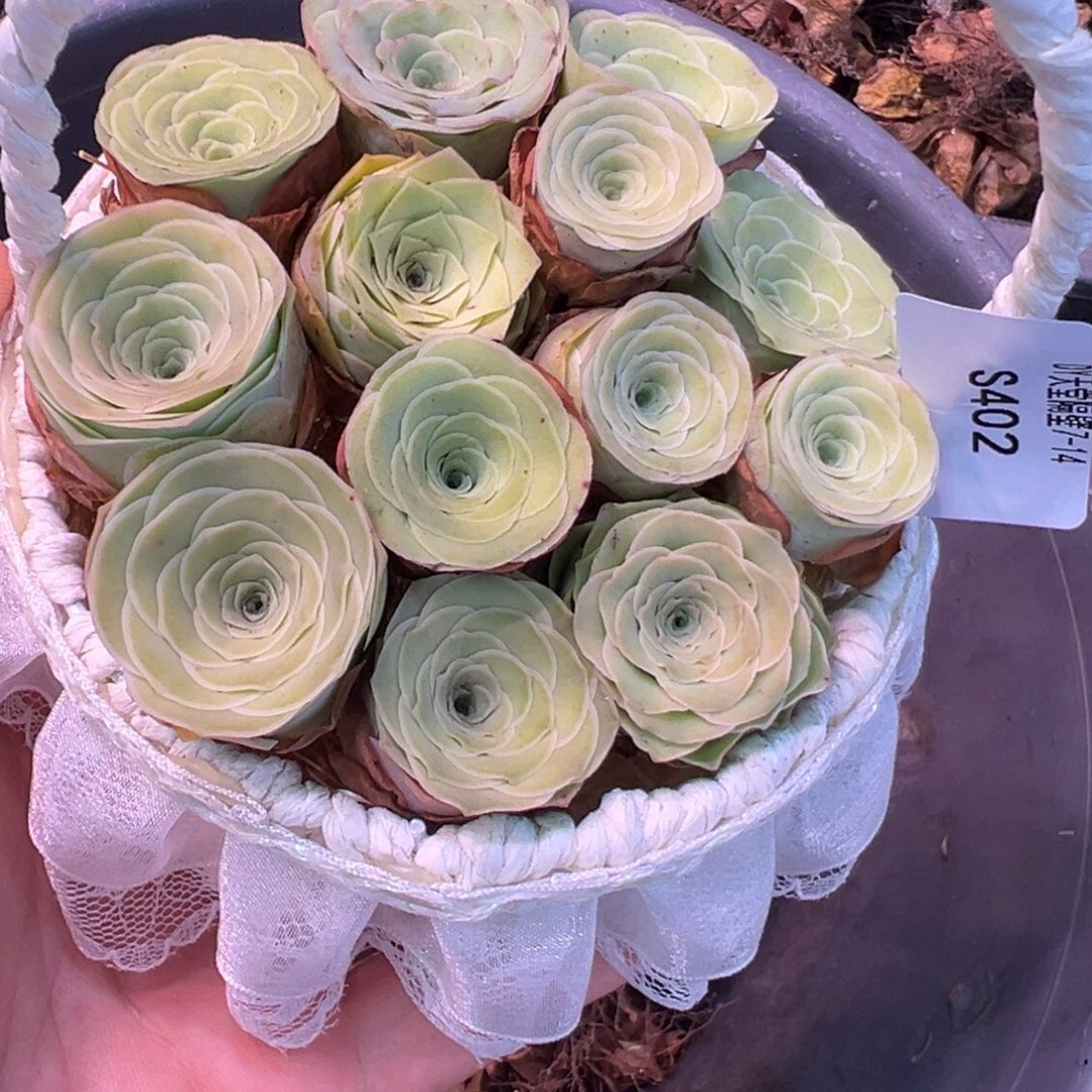 三碗402  黄绿色玫瑰组合花篮微瑕不包损福利商品图
