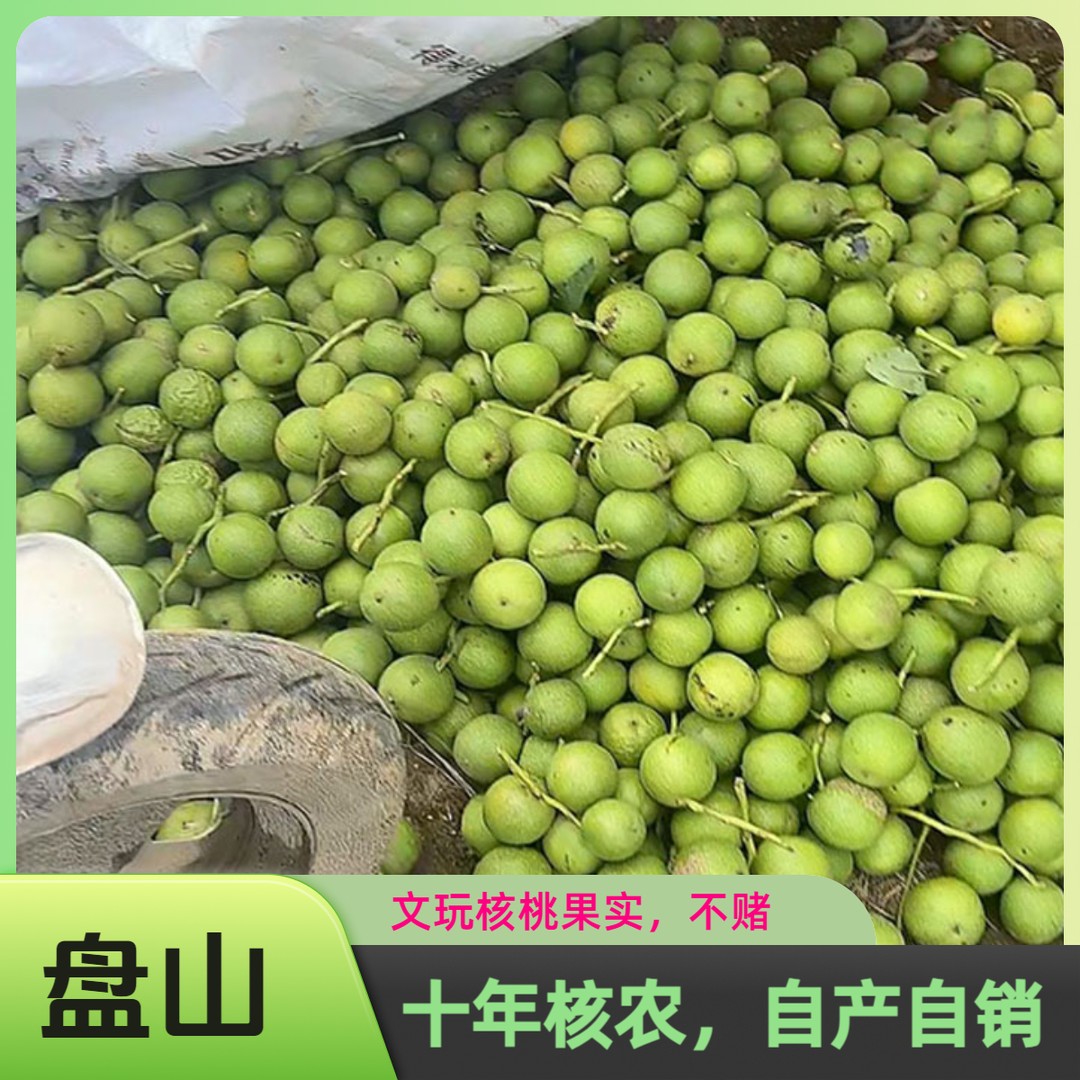 新鲜青皮盘山核桃公子帽霸王龙文玩核桃果实商品图