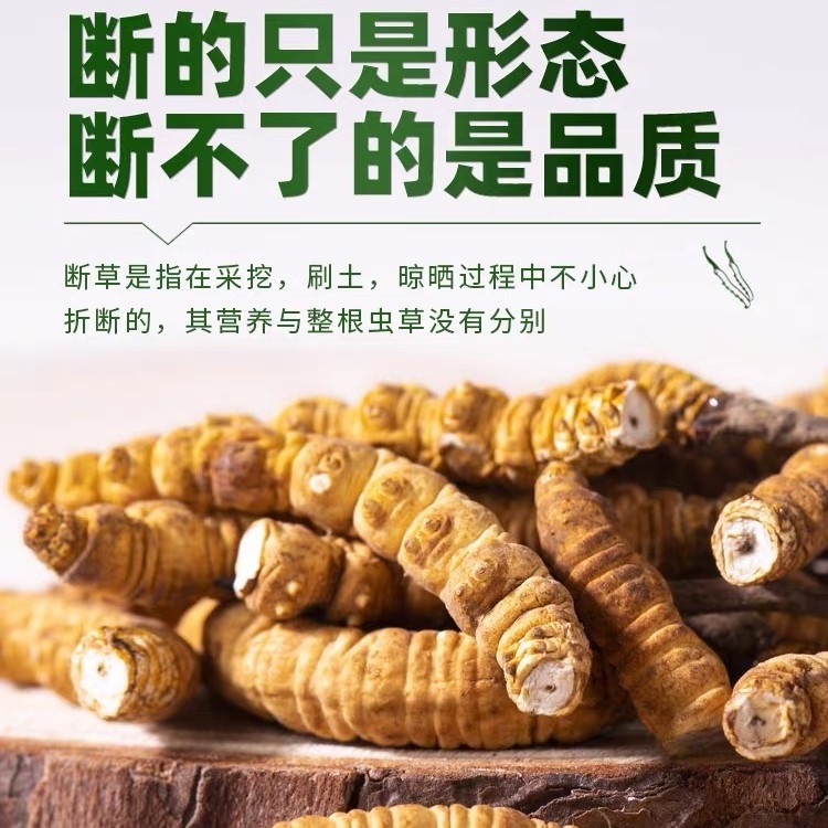 【自用断草】正品西藏那曲头茬头期正宗大草精选10克商品图