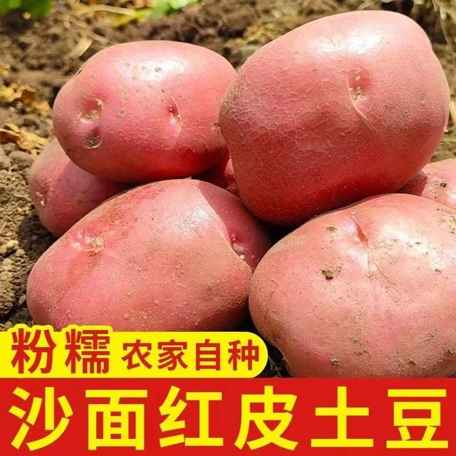 云南新土豆红皮黄心土豆新鲜沙糯粉面洋芋马铃薯商品图