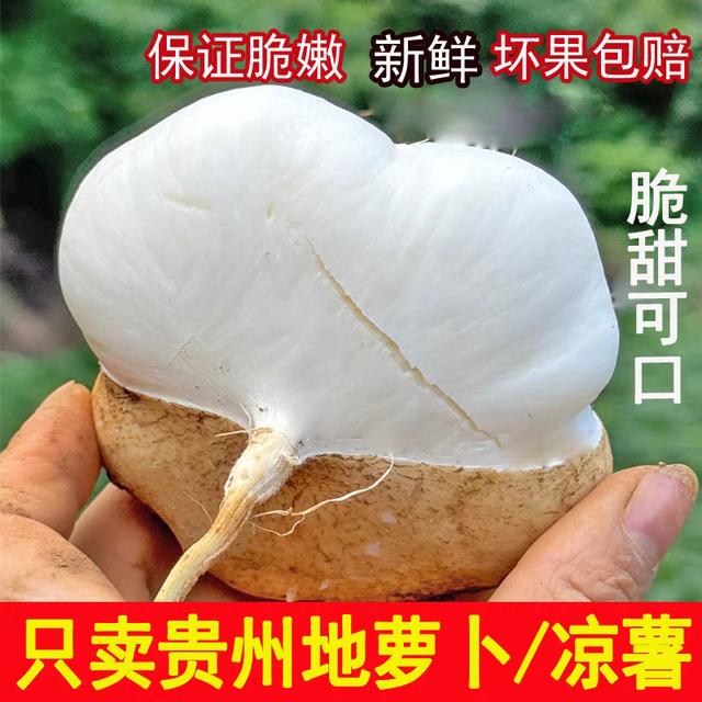 【新鲜现挖】贵州地萝卜凉薯沙葛农家自种雪莲果土瓜商品图