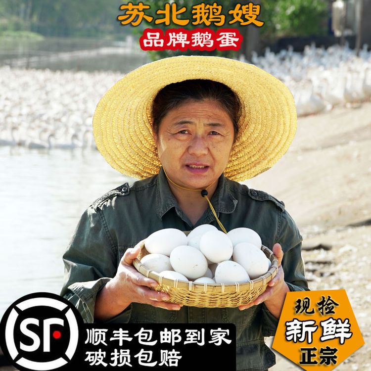 12个新鲜鹅蛋农村果园散养土鹅蛋人工挑选五谷喂养顺丰发货商品图
