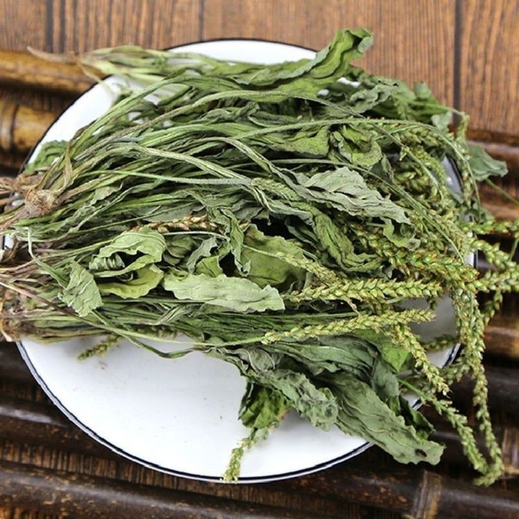 车前草正品当季头茬新鲜干货整颗车前草干草泡茶泡水喝商用批发商品图
