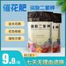 磷酸二氢钾促花拍二发三花卉植物施肥高纯度养花喷施养花营养肥料商品图