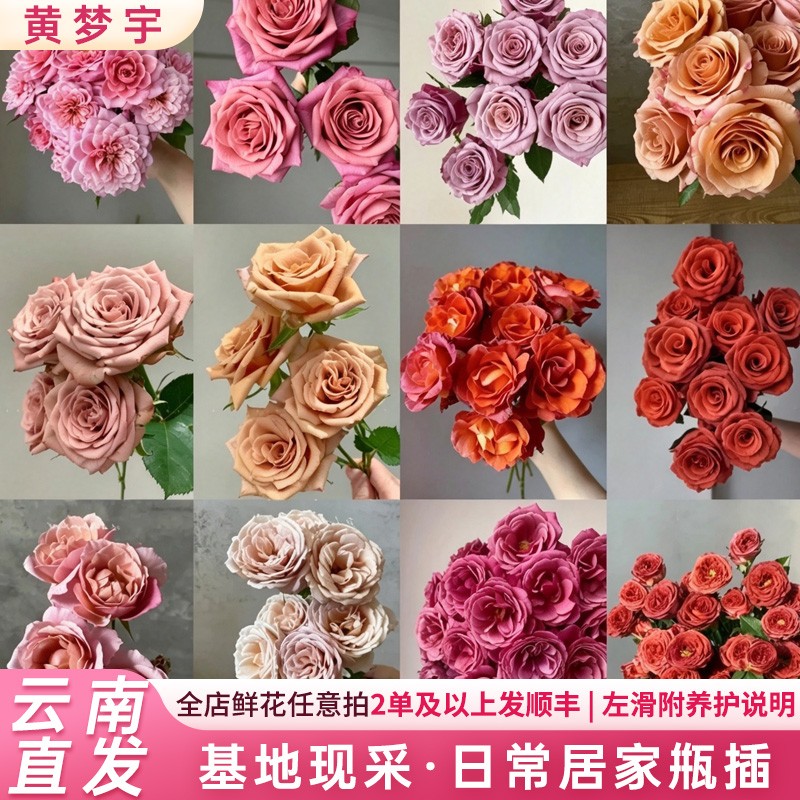 【黄梦宇直播专属】任意玫瑰-10枝 云南直发鲜花水养鲜切花家用商品图
