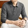 秋季新款老钱风男士长袖翻领polo衫商务休闲宽松上衣针织打底衫商品图