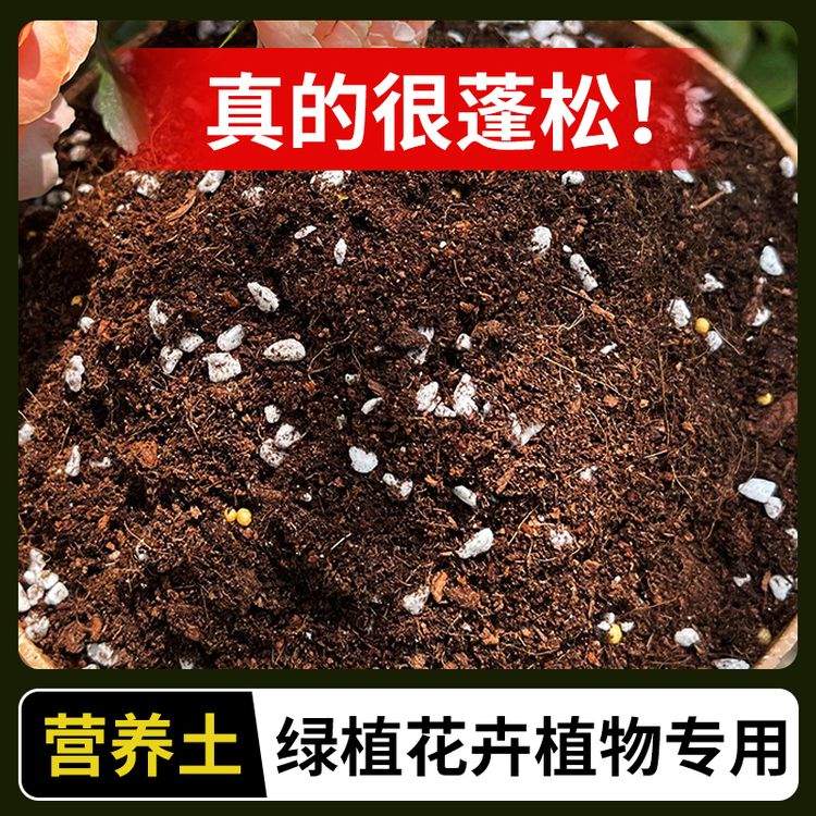 多肉专用泥炭营养土养花透气种菜育苗土壤家用兰花蔬菜盆栽肥料商品图