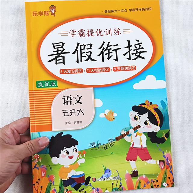 暑假作业五年级语文数学英语衔接教材人教版五升六年级暑假作业本商品图
