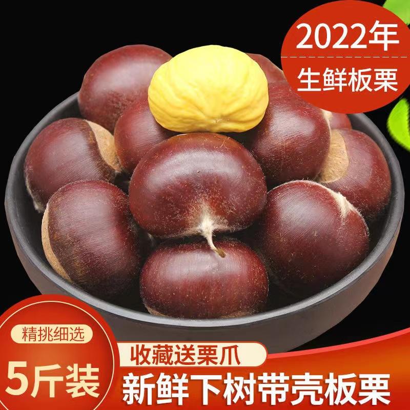 河北唐山迁西板栗生新鲜燕山老树栗子小板栗香甜大油栗2/3/5斤装商品图