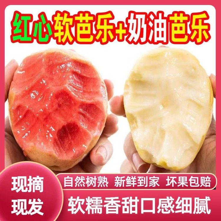 正宗广西红心芭乐新鲜应季低糖水果奶油芭乐双拼软糯香甜现摘现发商品图