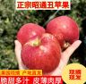 正宗@云南昭通苹果新鲜甜蜜丑苹果原产地现摘脆甜好吃营养多汁商品图