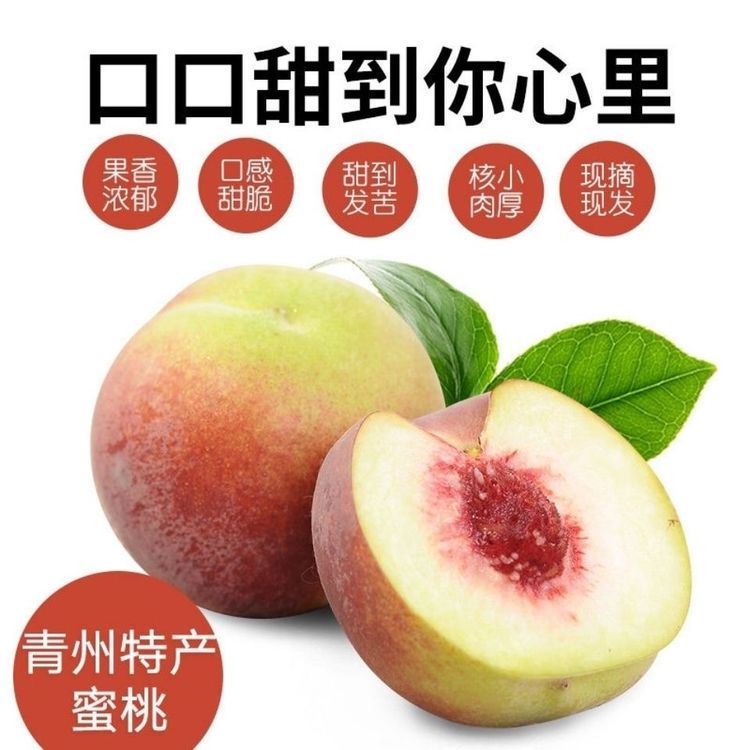 山东青州蜜桃青皮桃子当季现摘脆桃新鲜冬桃甜桃蜜桃毛桃孕妇水果商品图