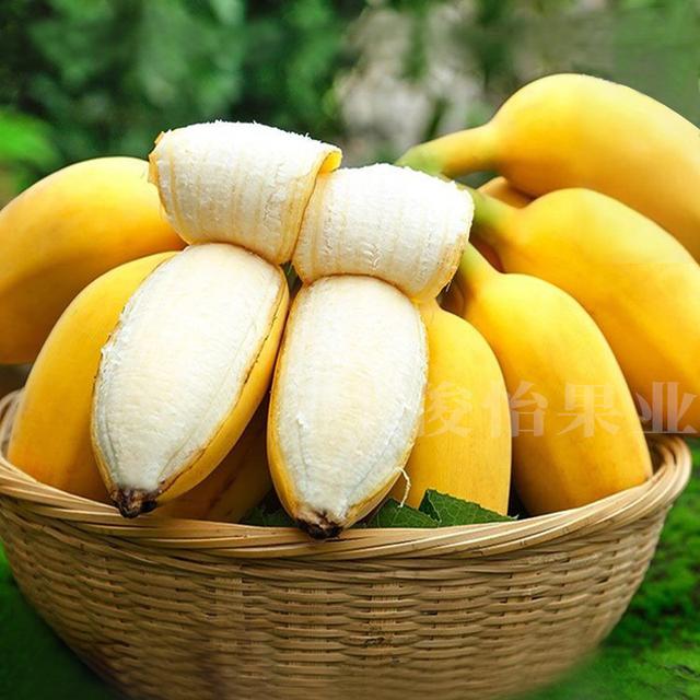 【俊怡】需催熟食用 广西苹果蕉5斤商品图