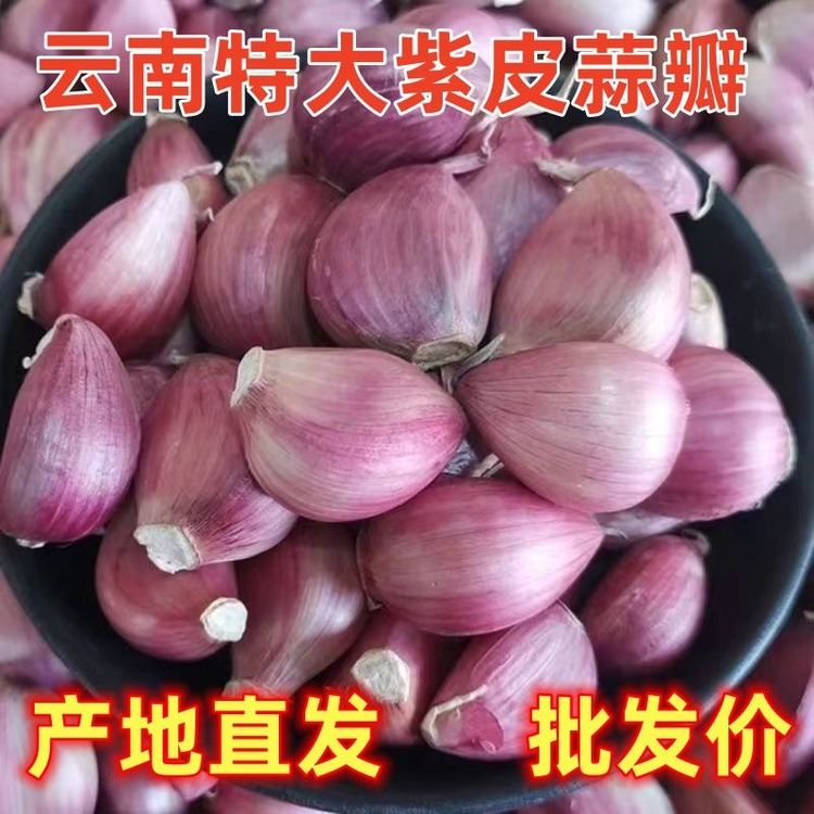2026年云南紫皮蒜瓣新鲜干蒜香辣饱满可食用可种植商品图