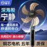 扬子电风扇落地扇家用大风2026新款立式宿舍定时摇头静音节能省电商品图