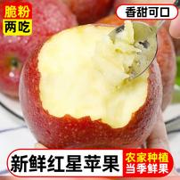 正宗宁夏沙漠红星苹果脆粉多汁新鲜水果当季两吃鲜甜商品图