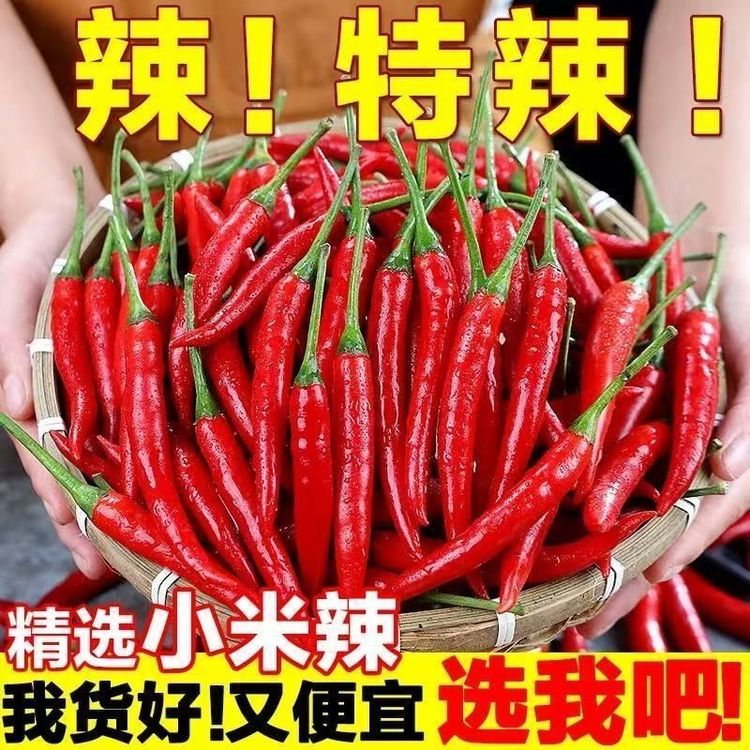 云南新鲜小米山东辣椒小米椒蔬菜魔鬼辣椒特辣巨辣红辣椒朝天椒商品图