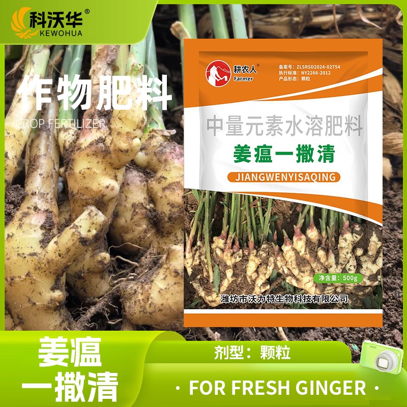 科沃华生姜姜瘟一撒清微生物肥料改善预防姜瘟炭疽叶枯腐烂专用肥商品图