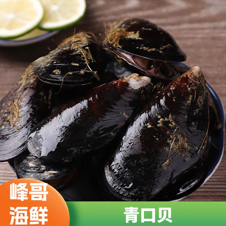 【宠粉回归】鲜活大号青口贝3斤/5斤贻贝新鲜干净发货保鲜海鲜 商品图