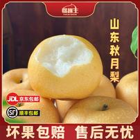 【桃趣生】山东秋月梨 4.5斤 彩箱/礼盒装 单果350g+（京东/顺丰）商品图