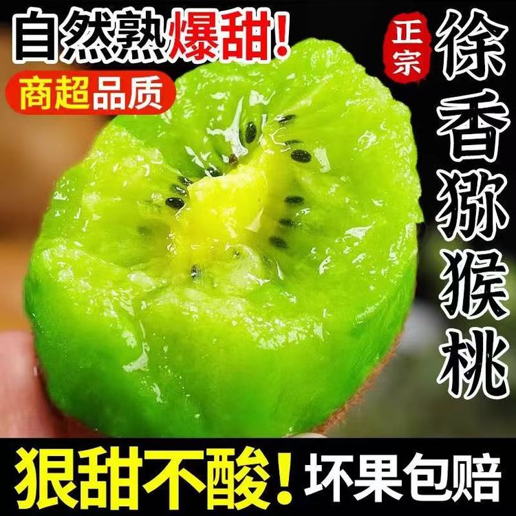 B【放软食用】2026陕西绿心徐香猕猴桃应季猕猴桃酸甜可口多汁水果商品图