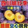 正宗四川半边红茵红李当季新鲜水果脆甜多汁脆嫩新鲜整箱商品图