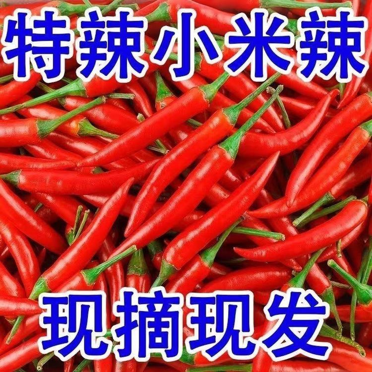 小米辣椒新鲜朝天椒红辣椒特辣小尖椒批发鲜椒小米椒泡椒特辣商品图