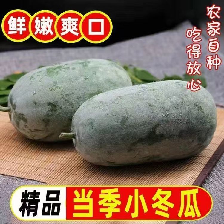 【到手9斤】新鲜现摘迷你小冬瓜挂霜水果冬瓜煲汤食材时令蔬菜567商品图