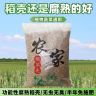 动物蛋白发酵稻壳拌土养花种菜土壤营养土园艺改良土壤疏松透气商品图