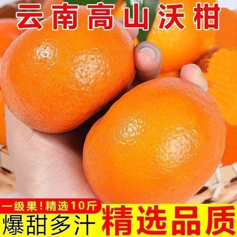 【果园直发】云南高山沃柑无籽少籽沃柑新鲜现摘当天采摘应季发货b商品图
